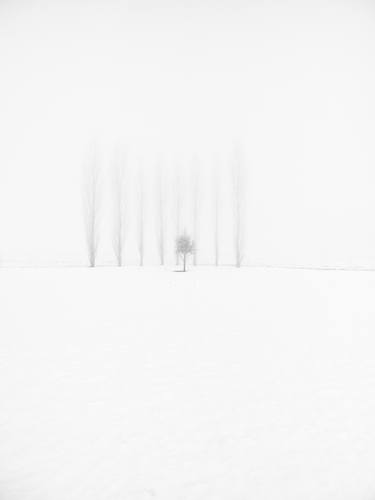 Print of Minimalism Nature Photography by Krunoslav Večenaj