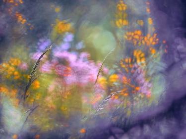 Print of Floral Photography by Krunoslav Večenaj