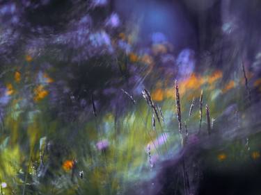 Print of Impressionism Floral Photography by Krunoslav Večenaj