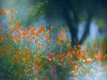 Print of Expressionism Floral Photography by Krunoslav Večenaj