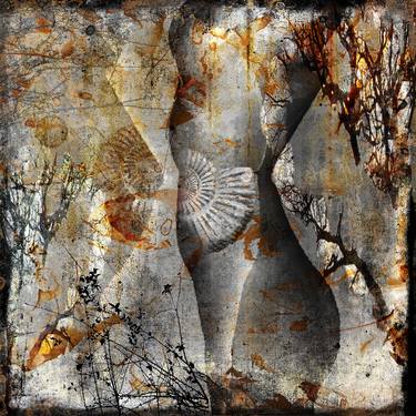 Saatchi Art Artist steven irwin; Photography, “Land of Venus III” #art