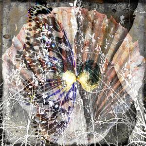 Collection Originals for $1000 and Under