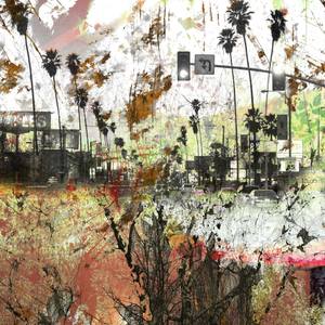 Collection Earth Minded