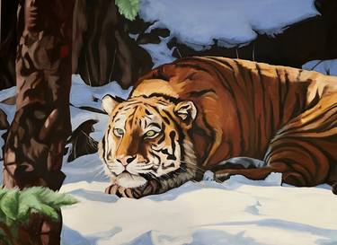 Original Animal Paintings by Michael G Wilson