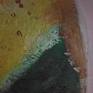 The death of this lemon has been suspended in animation.The colors created by decay will remain forever within this painting.