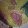 The death of this lemon has been suspended in animation.The colors created by decay will remain forever within this painting.