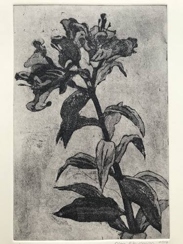 Print of Botanic Printmaking by Olga Kleytman