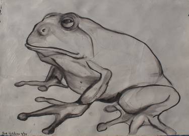 Original Figurative Animal Drawings by Sue Hutchins