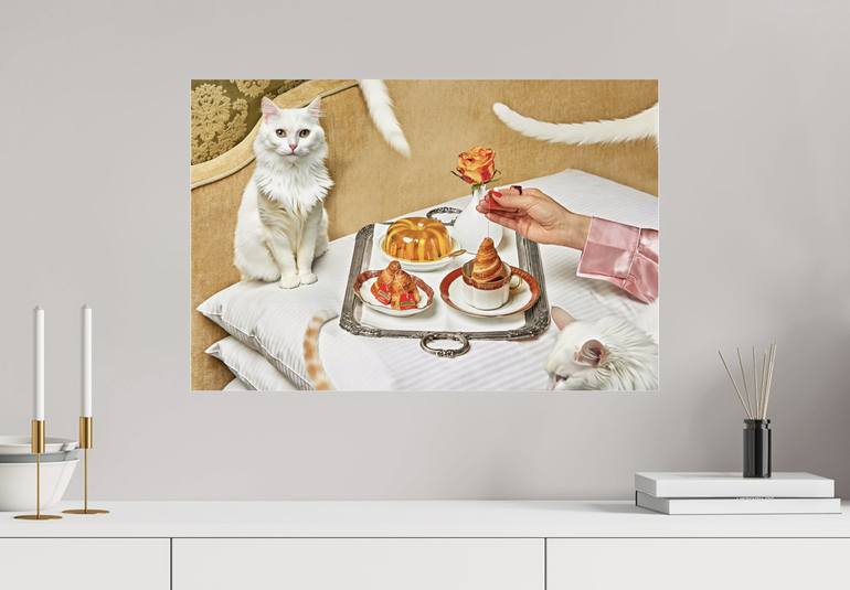 Original Modern Cats Photography by Tina Sturzenegger