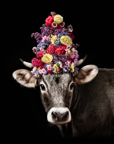 Original Conceptual Animal Photography by Tina Sturzenegger