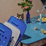 Collection Apero.