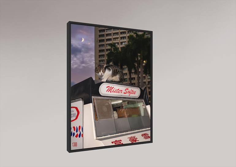 Original Conceptual Animal Photography by Tina Sturzenegger