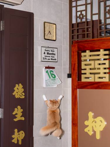 Original Conceptual Animal Photography by Tina Sturzenegger