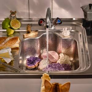 Collection Art for the Animal Lover