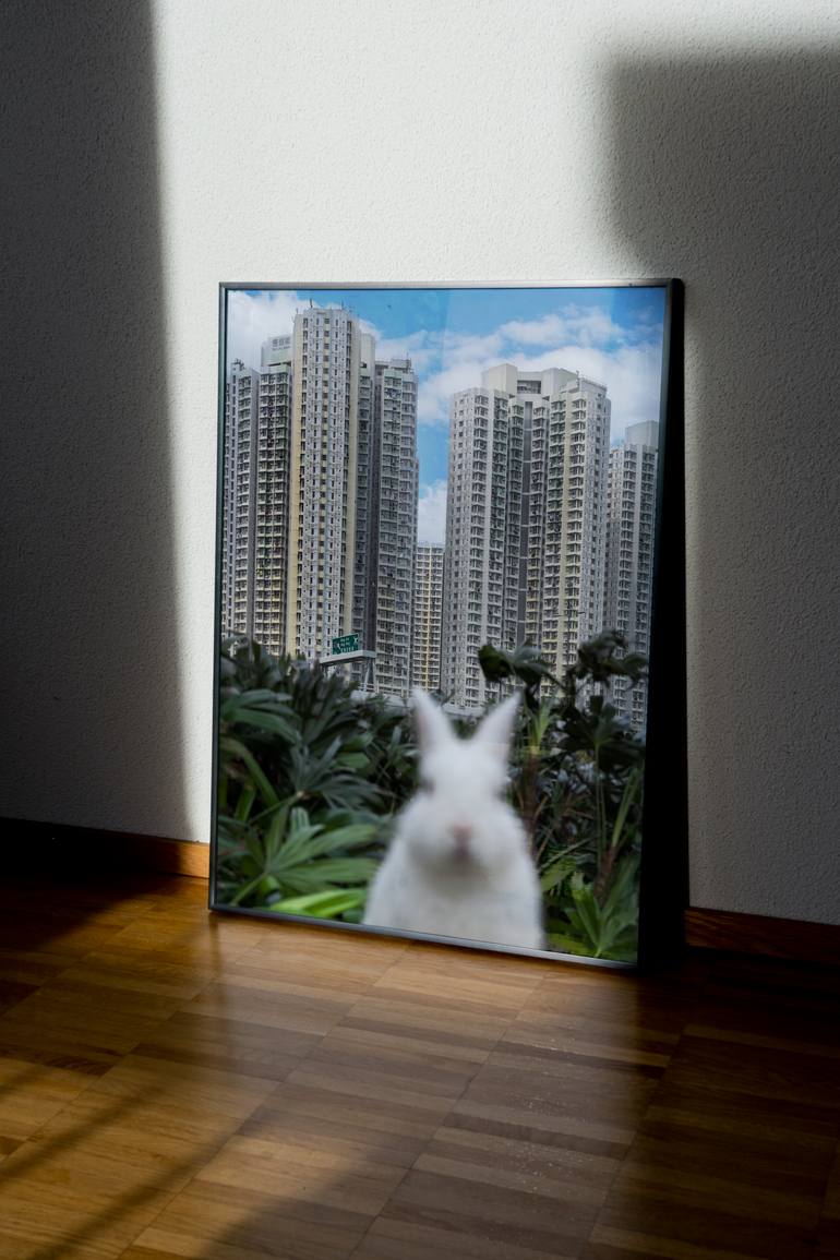 Original Contemporary Animal Photography by Tina Sturzenegger