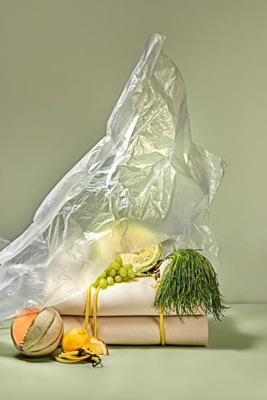 Print of Conceptual Still Life Photography by Tina Sturzenegger