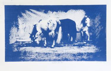 Print of Animal Printmaking by Lara Ješe