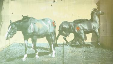 Original Pop Art Horse Printmaking by Lara Ješe
