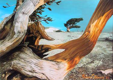 Print of Realism Nature Paintings by Franco Cisternino