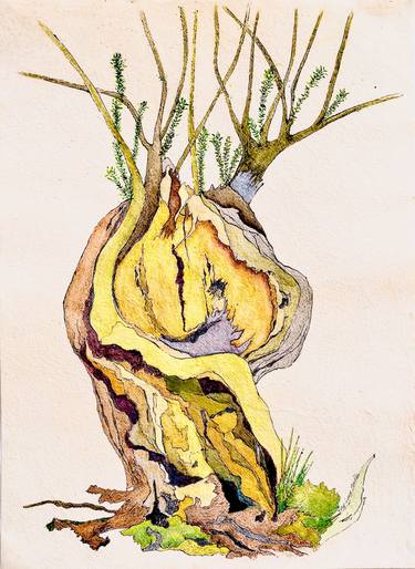 Print of Figurative Tree Drawings by Mary-Lynne Stadler