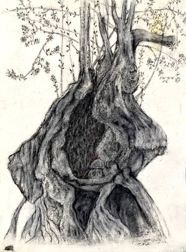 Print of Tree Drawings by Mary-Lynne Stadler