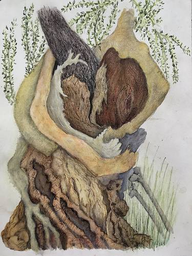 Original Botanic Drawing by Mary-Lynne Stadler