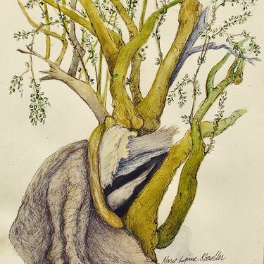Print of Tree Drawings by Mary-Lynne Stadler