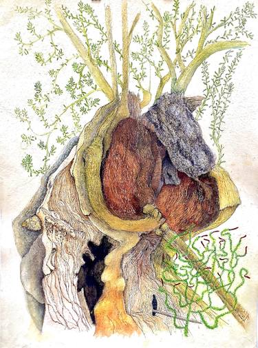 Original Tree Drawing by Mary-Lynne Stadler