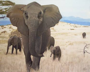 Original Realism Animal Paintings by Andy Joynes