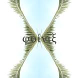Phoenix - Limited Edition 1 of 10 by Eleonora Pecorella