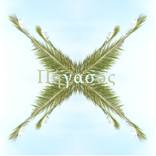 Pegasus - Limited Edition 1 of 10 by Eleonora Pecorella