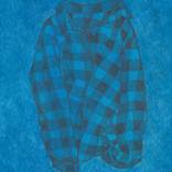 Blue Buffalo Flannel Forever by Lauren Denitzio