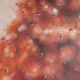 Red maple after the storm by Sarah Beth Goncarova