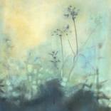 Queen Anne's Lace in the Morning Fog by Sarah Beth Goncarova