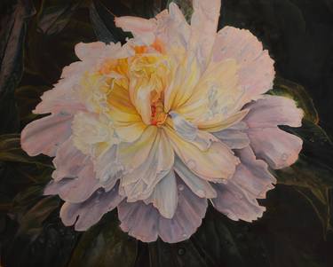Original Floral Paintings by Emma Hesse