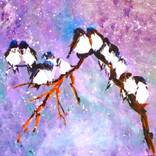 Collection Birds and Blooms