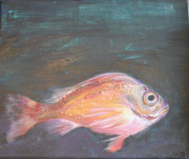 Original Fish Paintings by Daniela Neumann