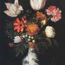 Ambrosius Bosschaert - Model for the collage "Bouquet with Tulips"