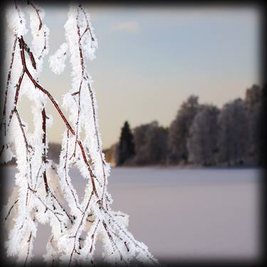 Frosted Lake - Limited Edition 2 of 10 thumb