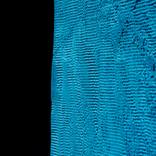 Black and Blue by Jackie Weisberg