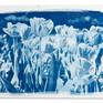 Collection Botanicals Cyanotypes