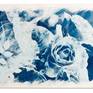 Collection Botanicals Cyanotypes