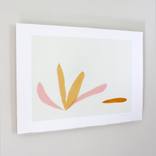 Bloom by Emma Lawrenson