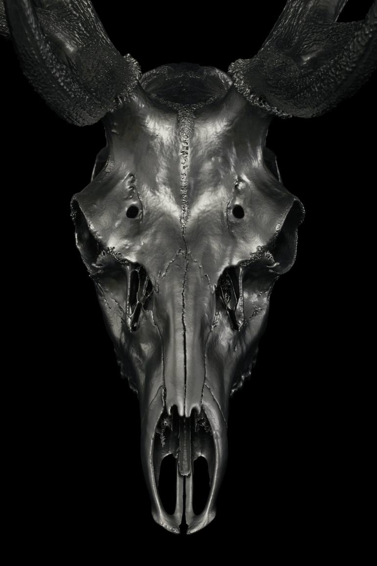Original Animal Sculpture by scott hendrie