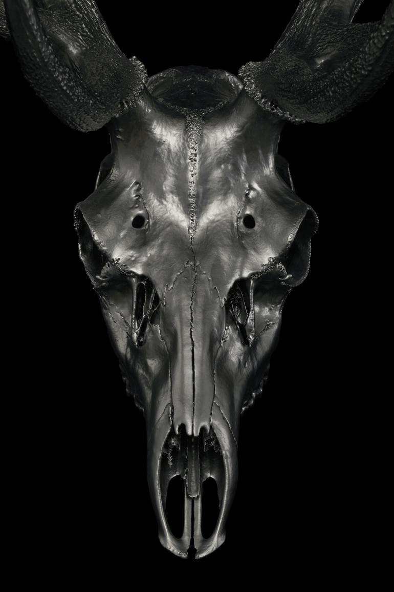 Original Surrealism Animal Sculpture by scott hendrie