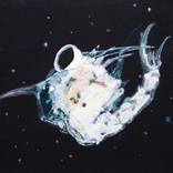 Collection Zooplankton Series