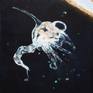 Collection Zooplankton Series