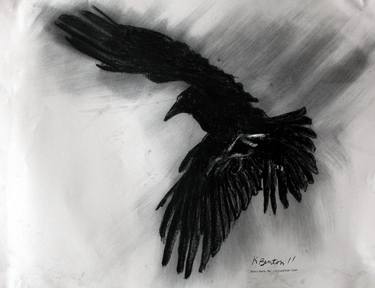 Crow Descends thumb