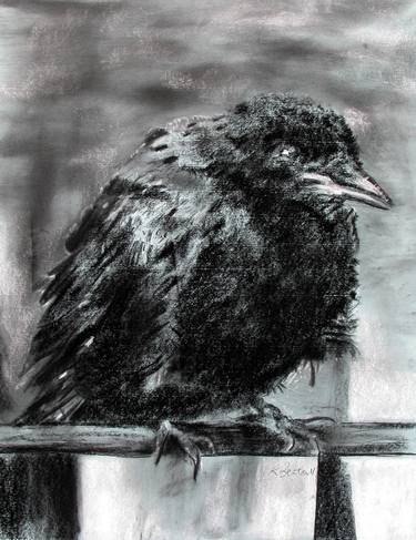 Crow thumb