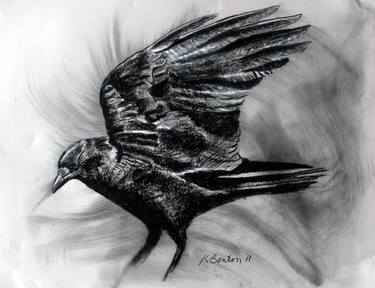 Fish Crow Wing thumb
